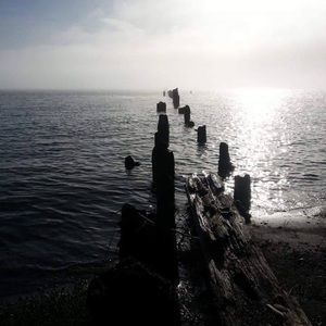 Meet your Posher, De ann